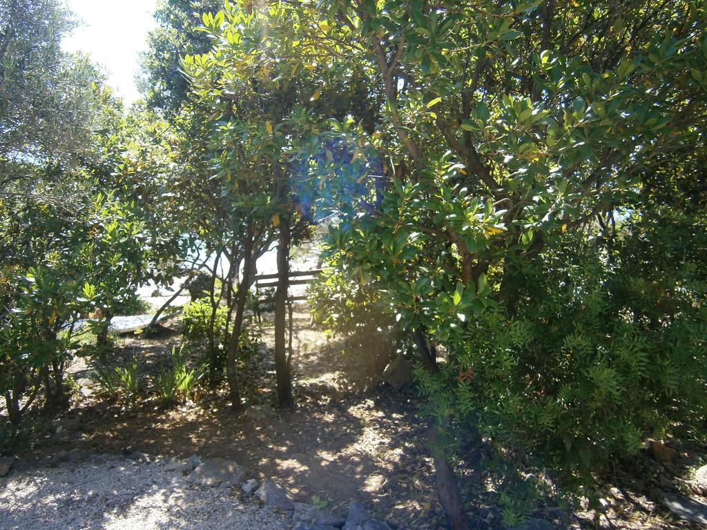 Apartments Grbin (Adults Only) Λομπάρδα Εξωτερικό φωτογραφία